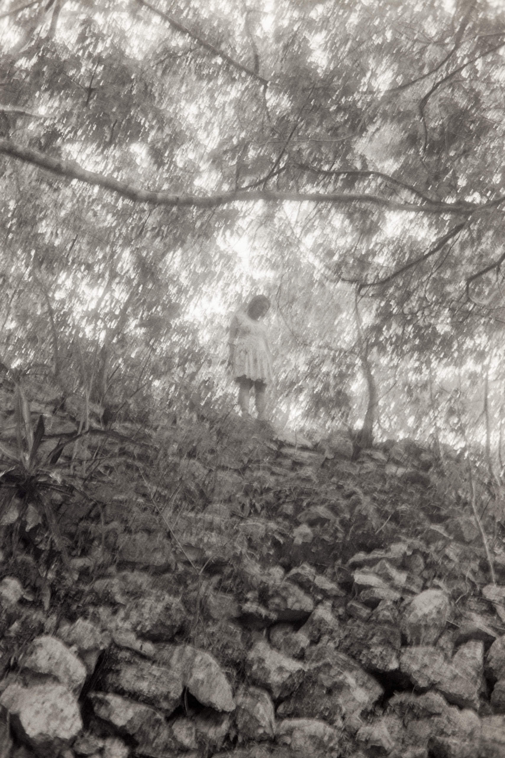 AHP FilmScan 240807 0678